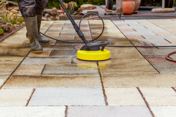 Best Gutter Cleaning  in Dunlap, IA