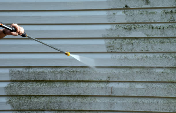 Best Building Exterior Washing  in Dunlap, IA